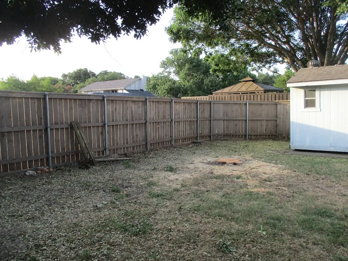 Cleared yard after professional tree removal in South Weymouth